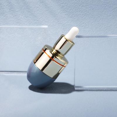 Unique Design Customize Label Printing Empty Glass Serum Oil Dropper Bottle with silver