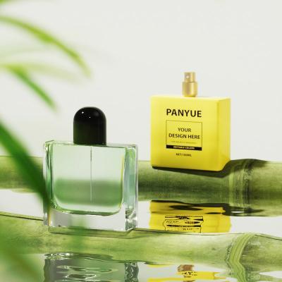 100ml Glass Bottle for Luxury Perfume